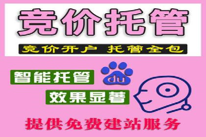 百度推广活动策划，实战案例展示